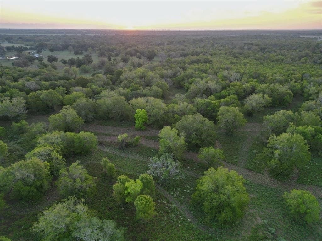 43.18 acres in Brazoria County - photo 21