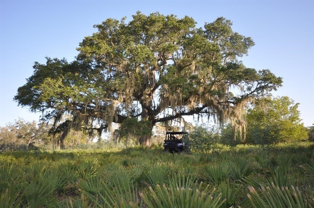 43.18 acres in Brazoria County - photo 12