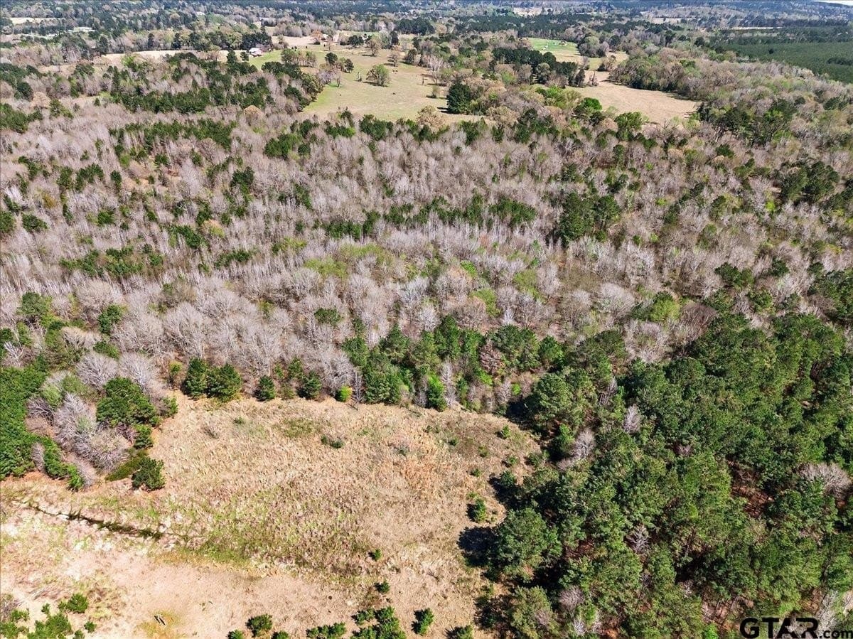 51.91 acres in Cherokee County - photo 8