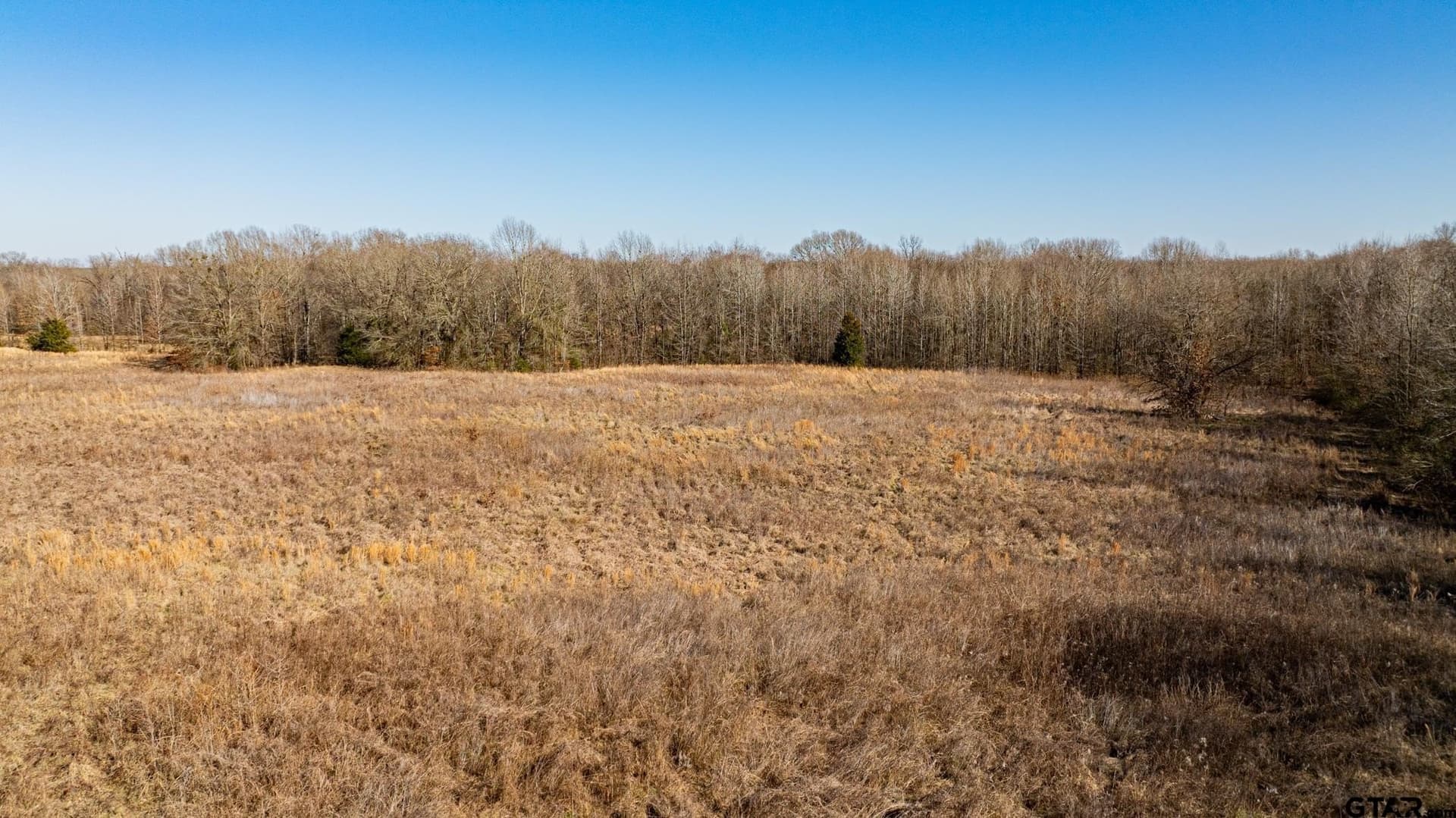 190 acres in Red River County - photo 2