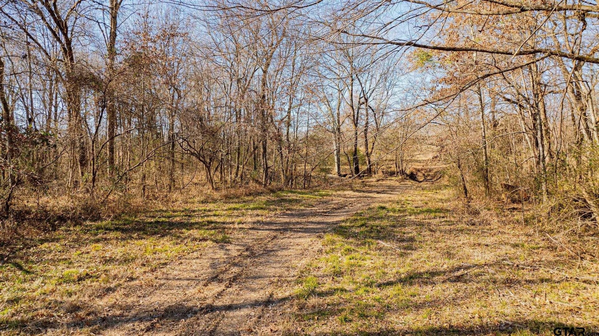 190 acres in Red River County - photo 7