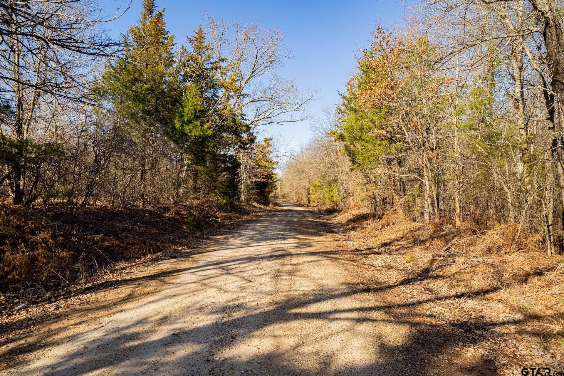 190 acres in Red River County - photo 34