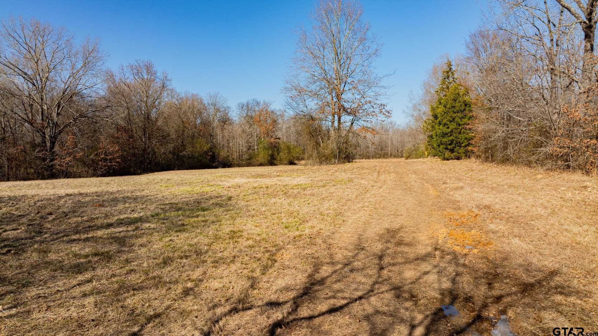 190 acres in Red River County - photo 22