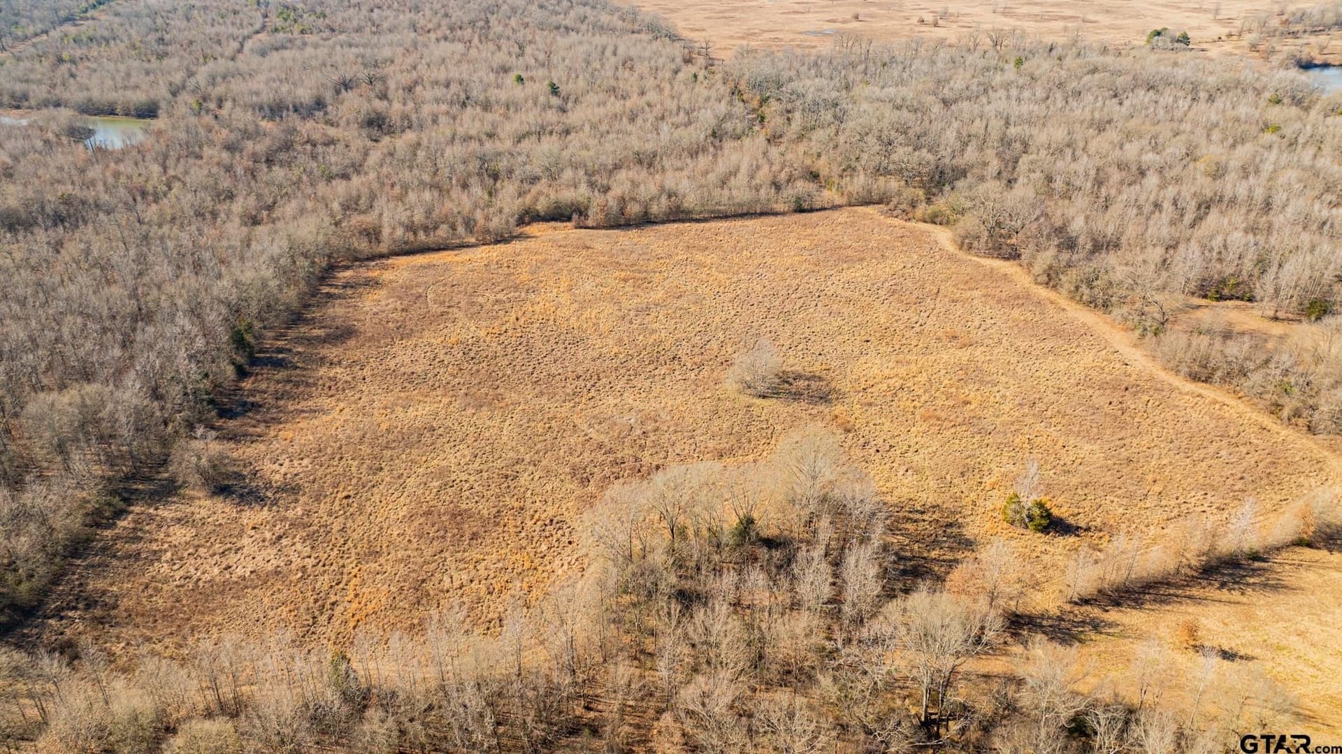 190 acres in Red River County - photo 27