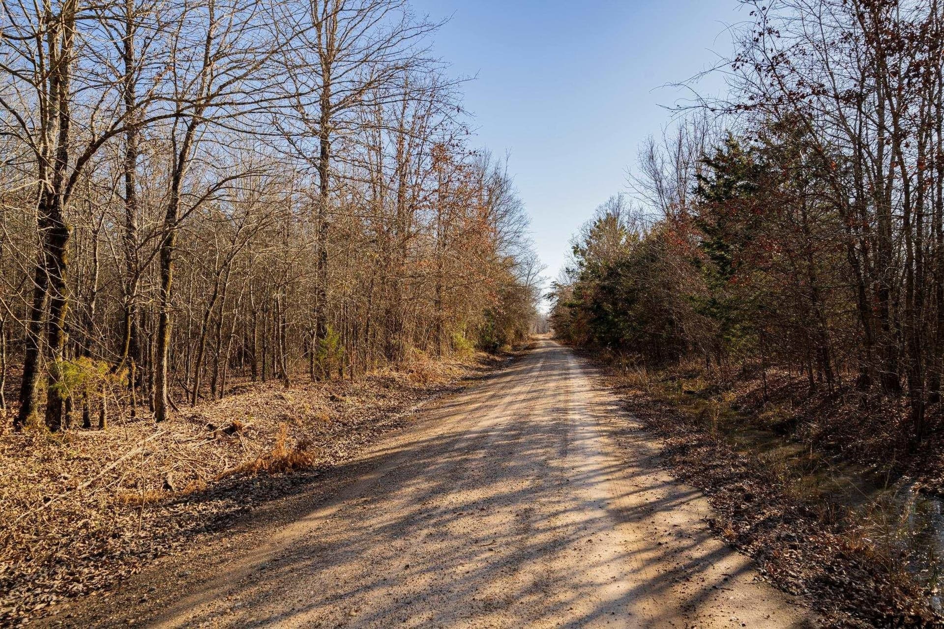 190 acres in Red River County - photo 35