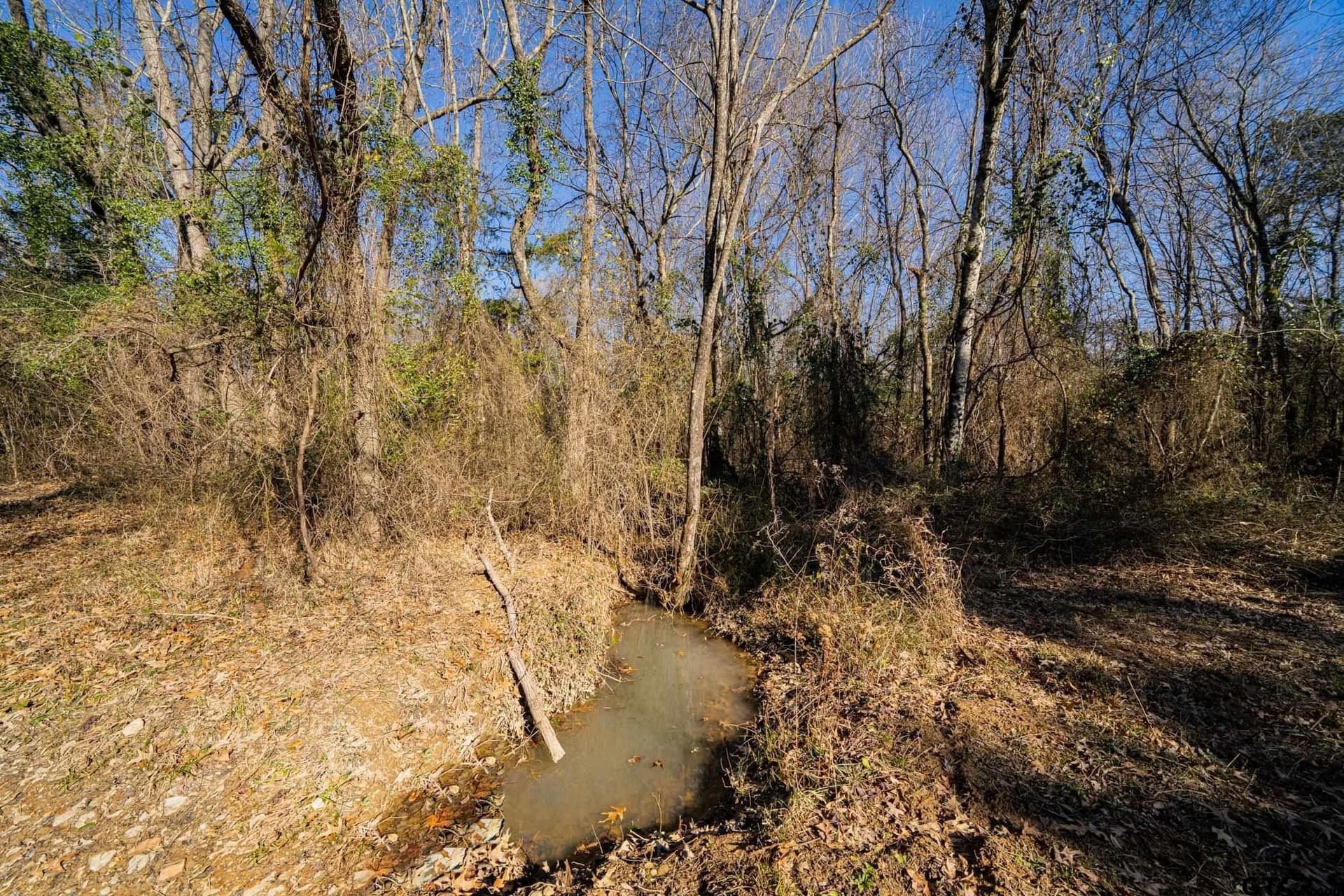 190 acres in Red River County - photo 29