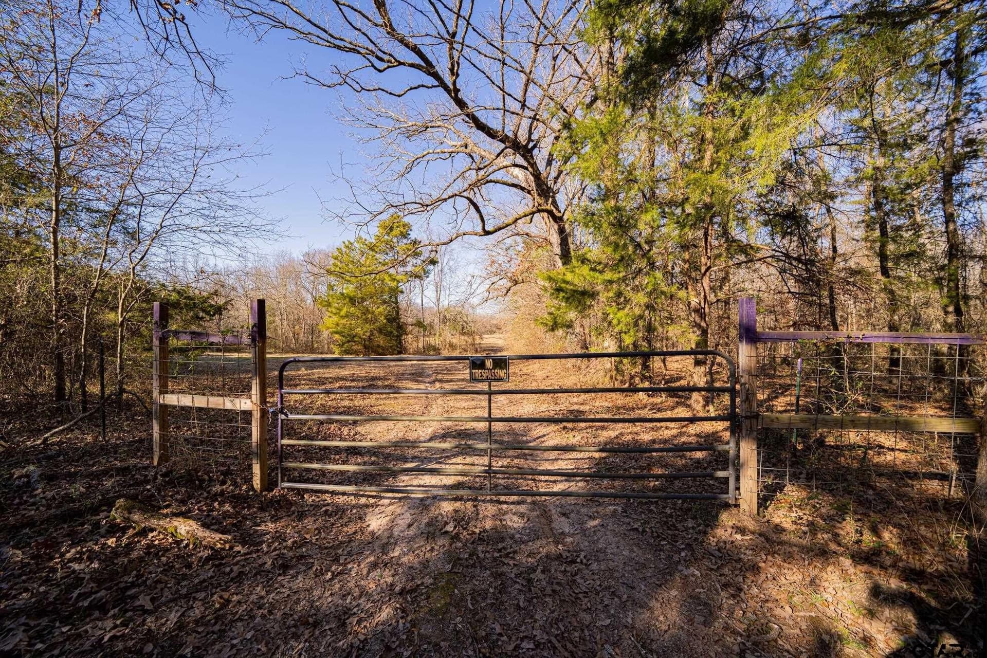 190 acres in Red River County - photo 33