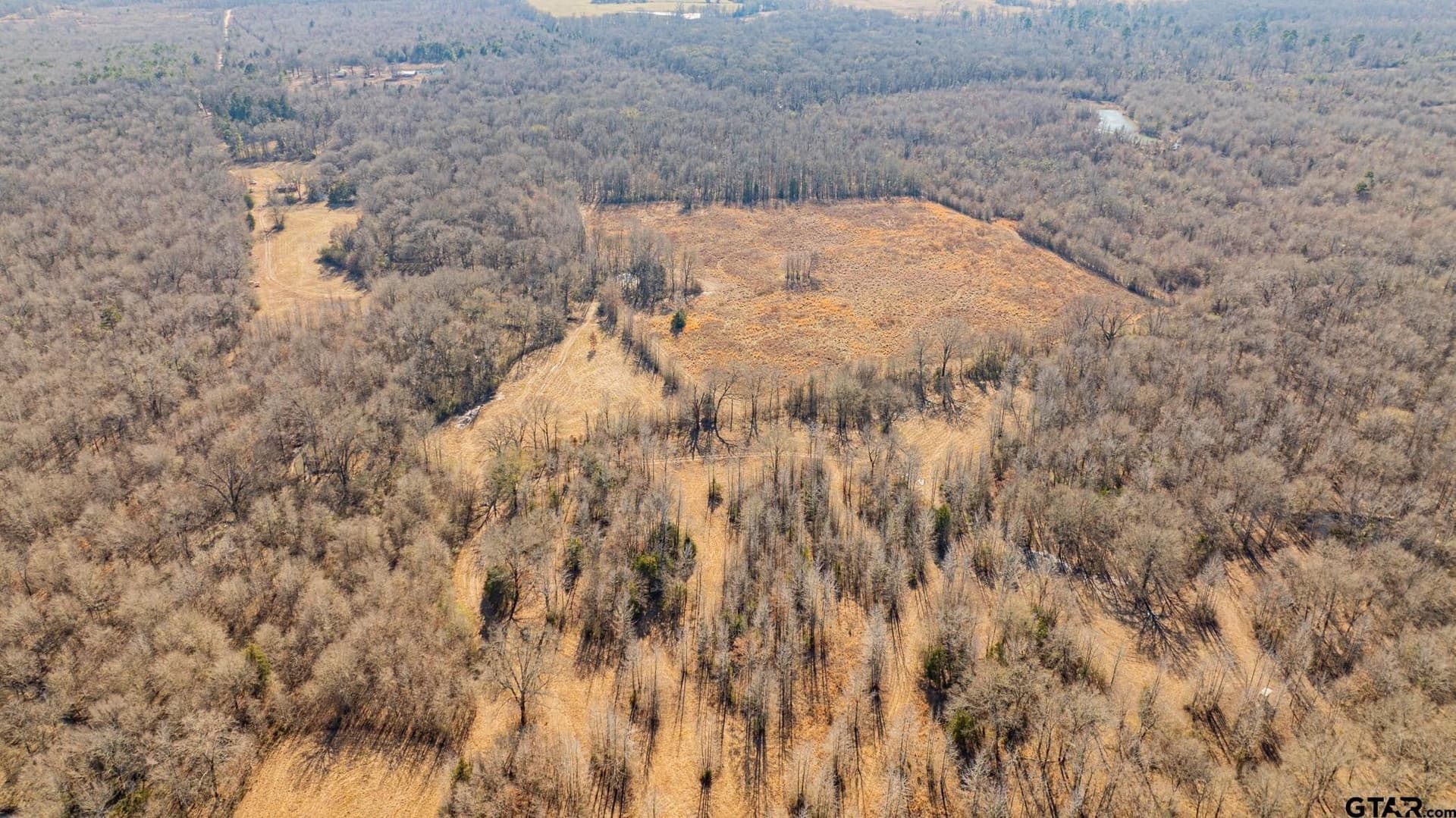 190 acres in Red River County - photo 25