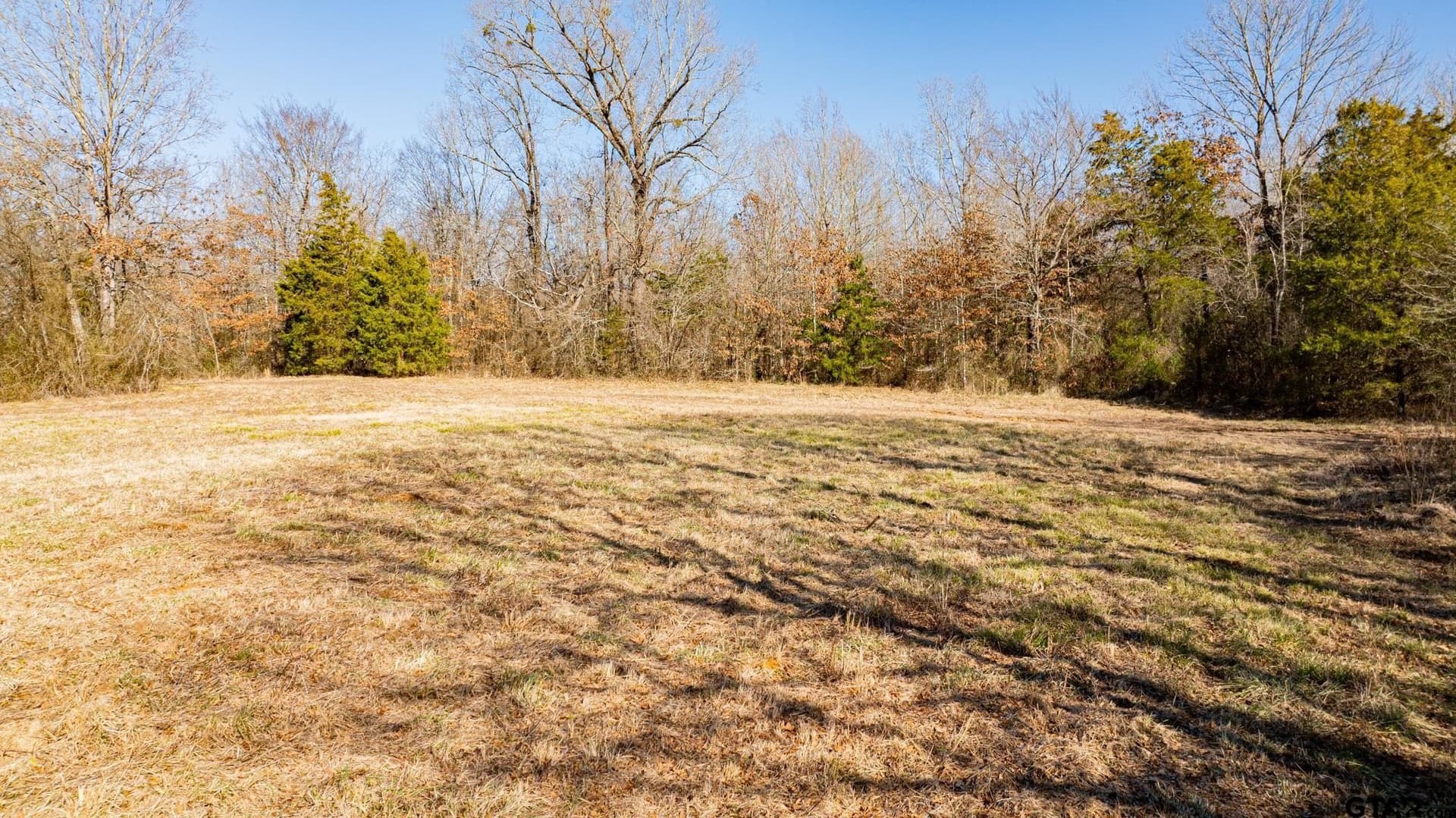 190 acres in Red River County - photo 5