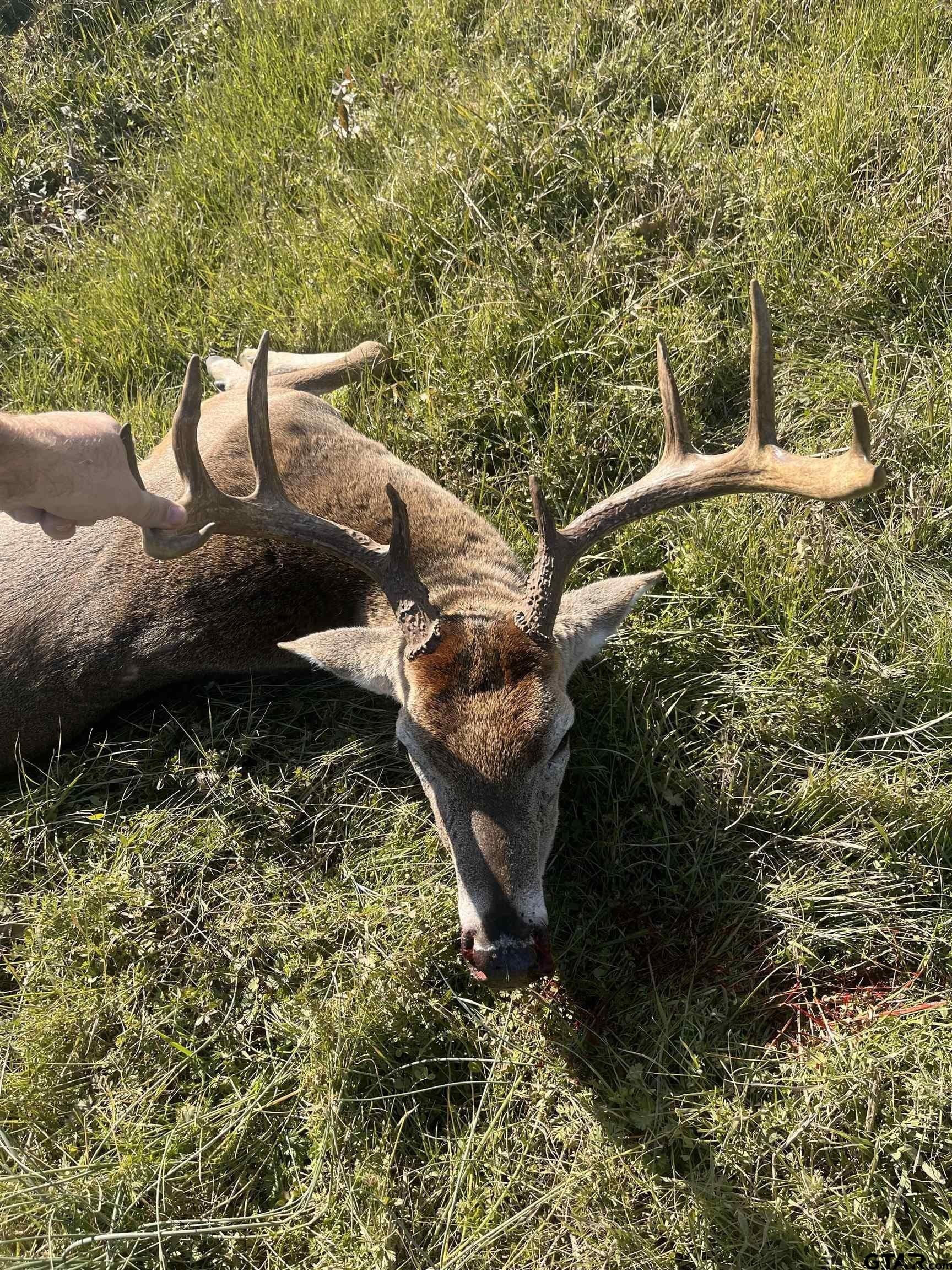 190 acres in Red River County - photo 37