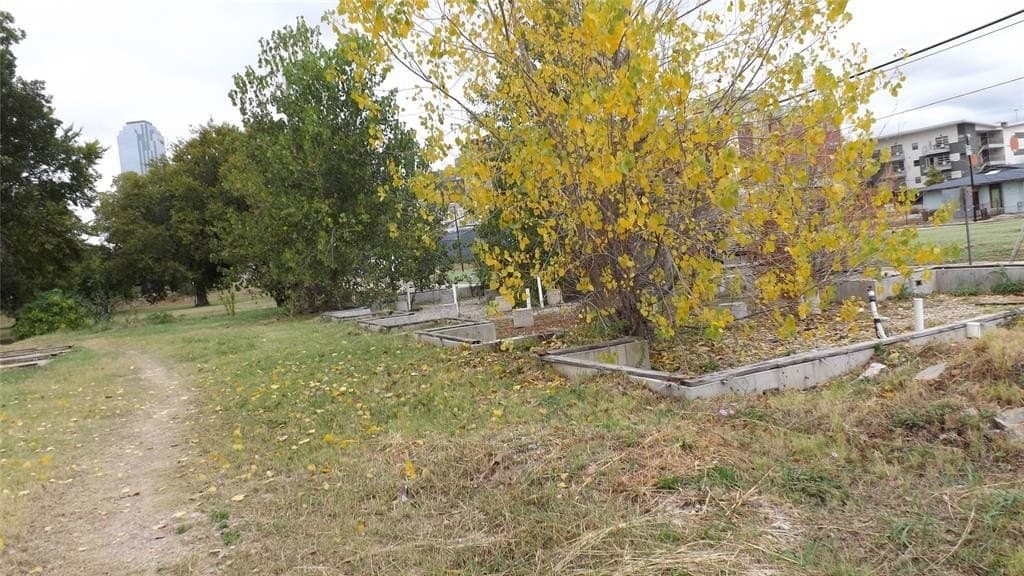 0.14 acres in Dallas County - photo 5