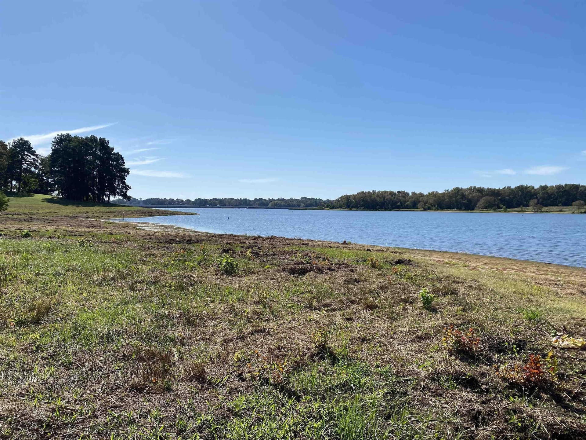 2.37 acres in Henderson County - photo 8