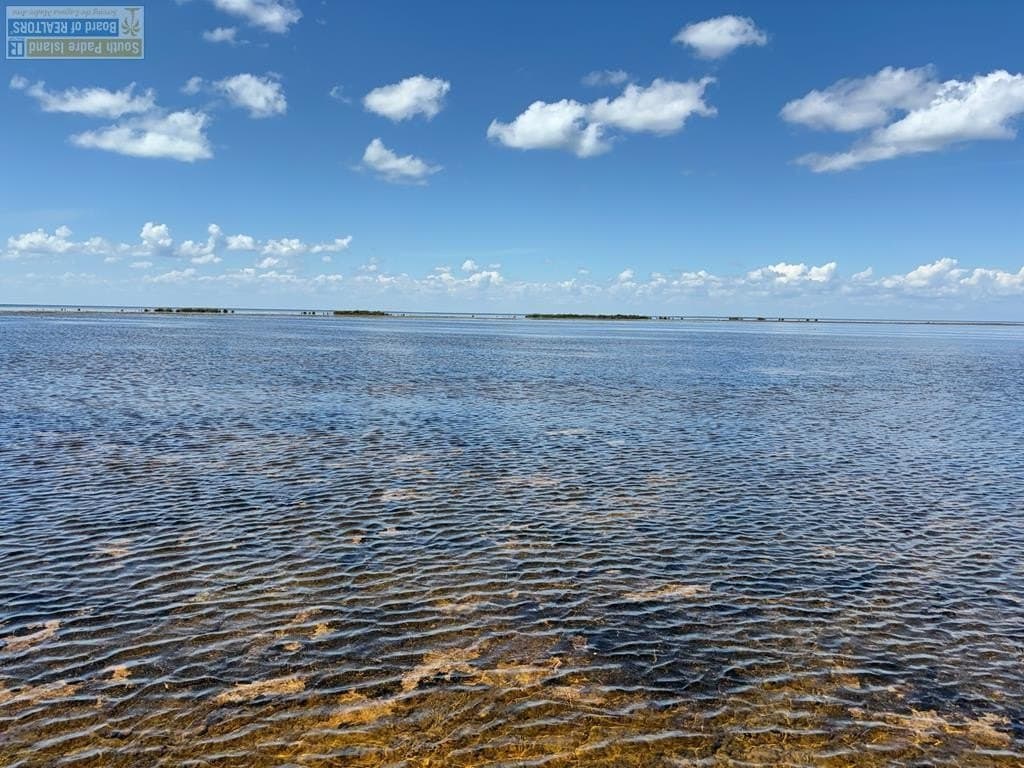 0 acres in Cameron County - photo 10