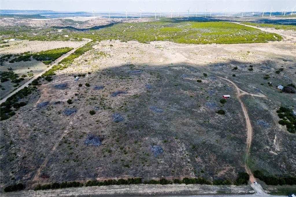 10.03 acres in Taylor County - photo 6