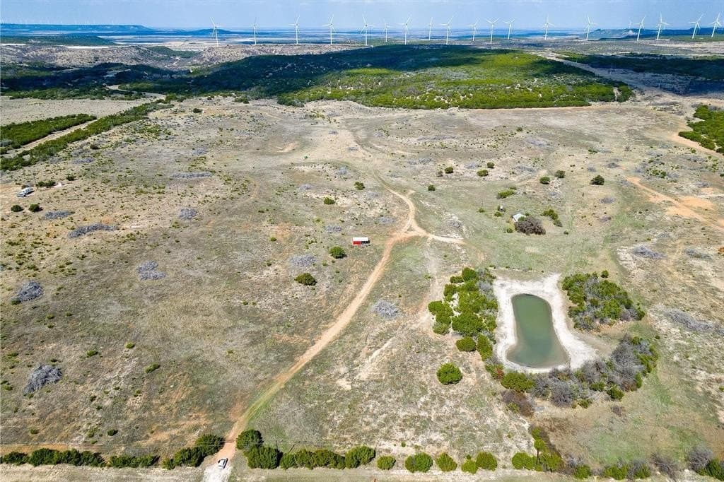 10.03 acres in Taylor County - photo 3