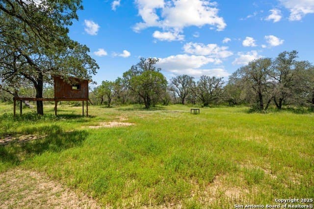 16 acres in Atascosa County - photo 8