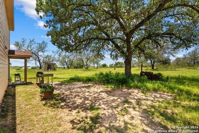 16 acres in Atascosa County - photo 9