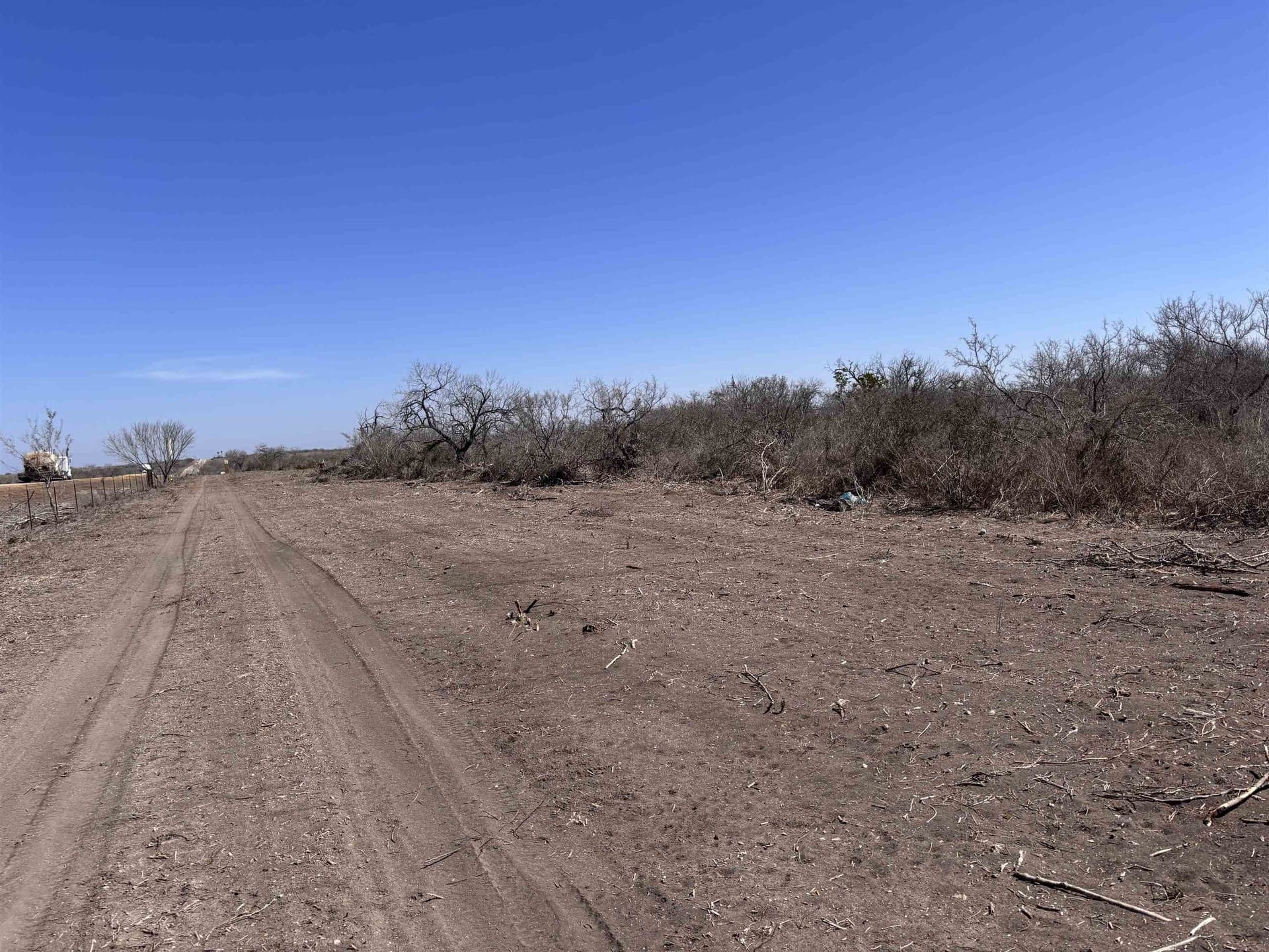 10.01 acres in Live Oak County - photo 2
