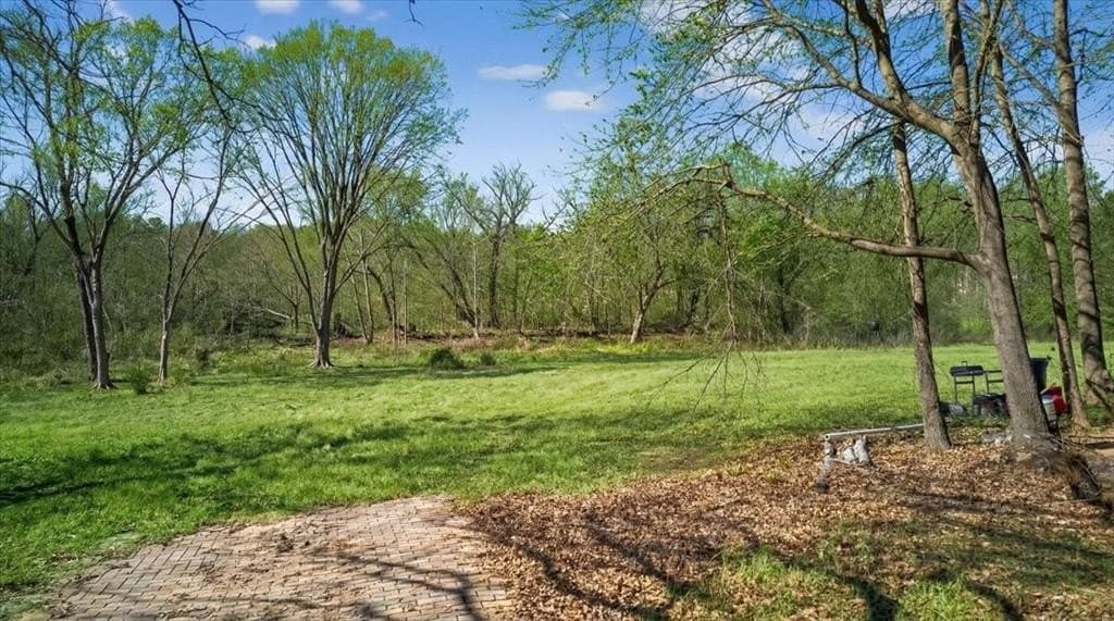 2.82 acres in Henderson County - photo 5