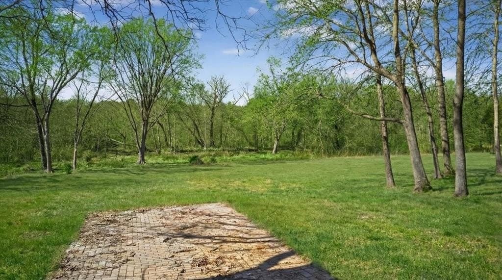 2.82 acres in Henderson County - photo 3