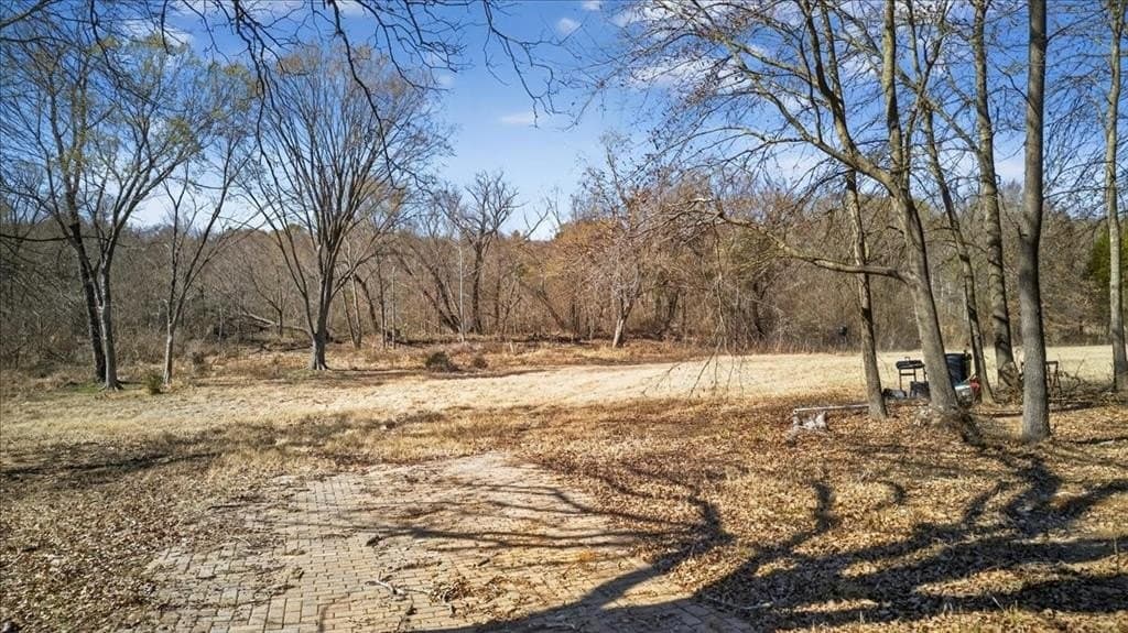 2.82 acres in Henderson County - photo 17