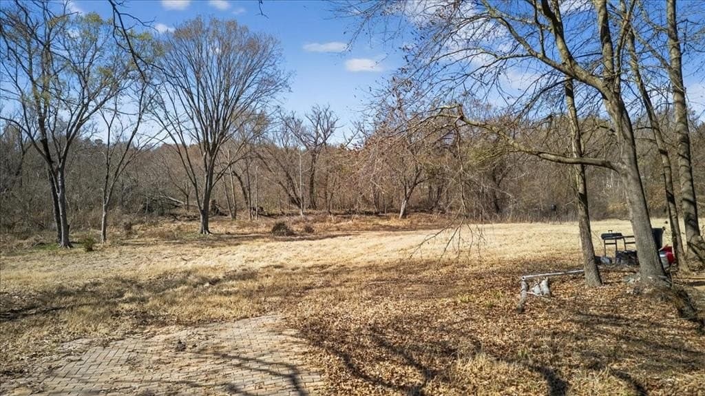 2.82 acres in Henderson County - photo 15