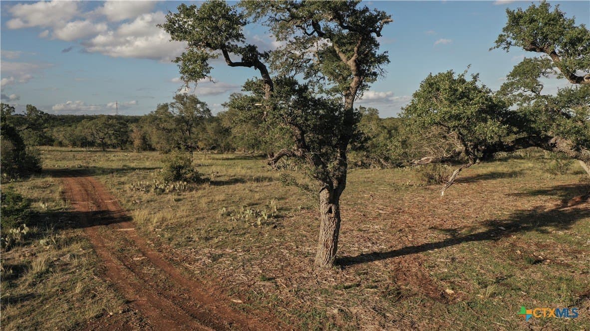 85.03 acres in Hays County - photo 10