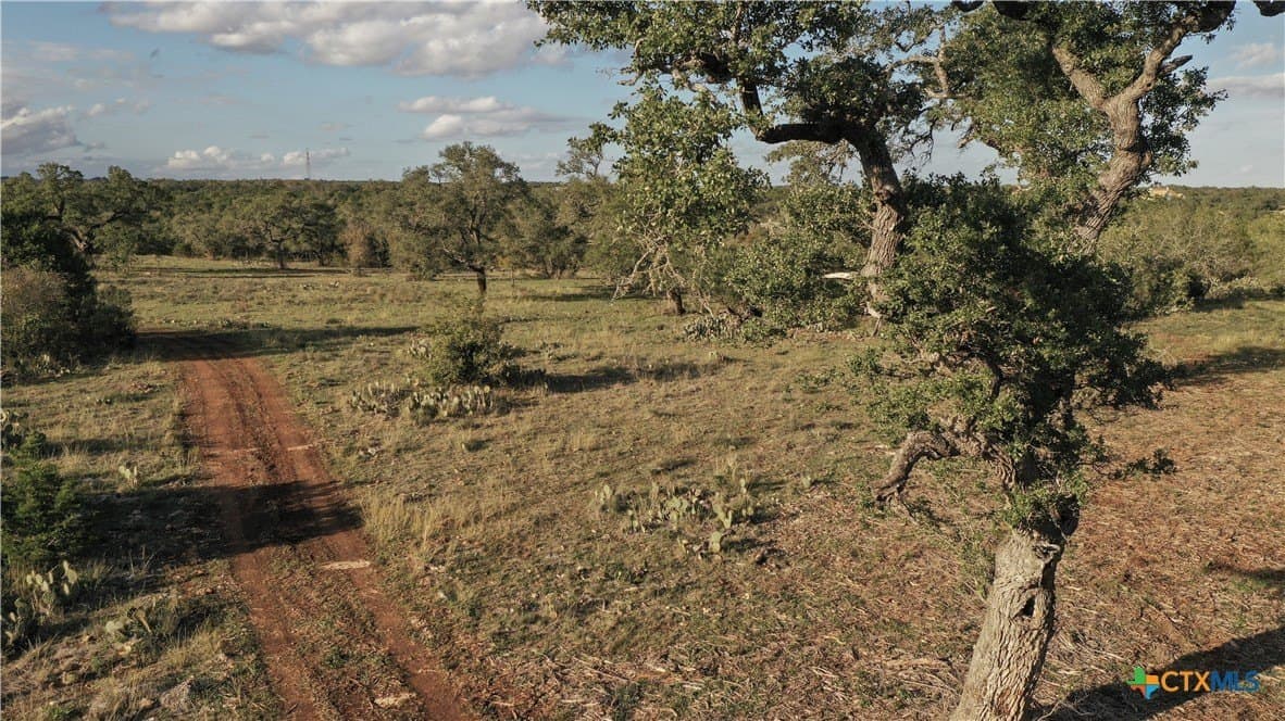 85.03 acres in Hays County - photo 13