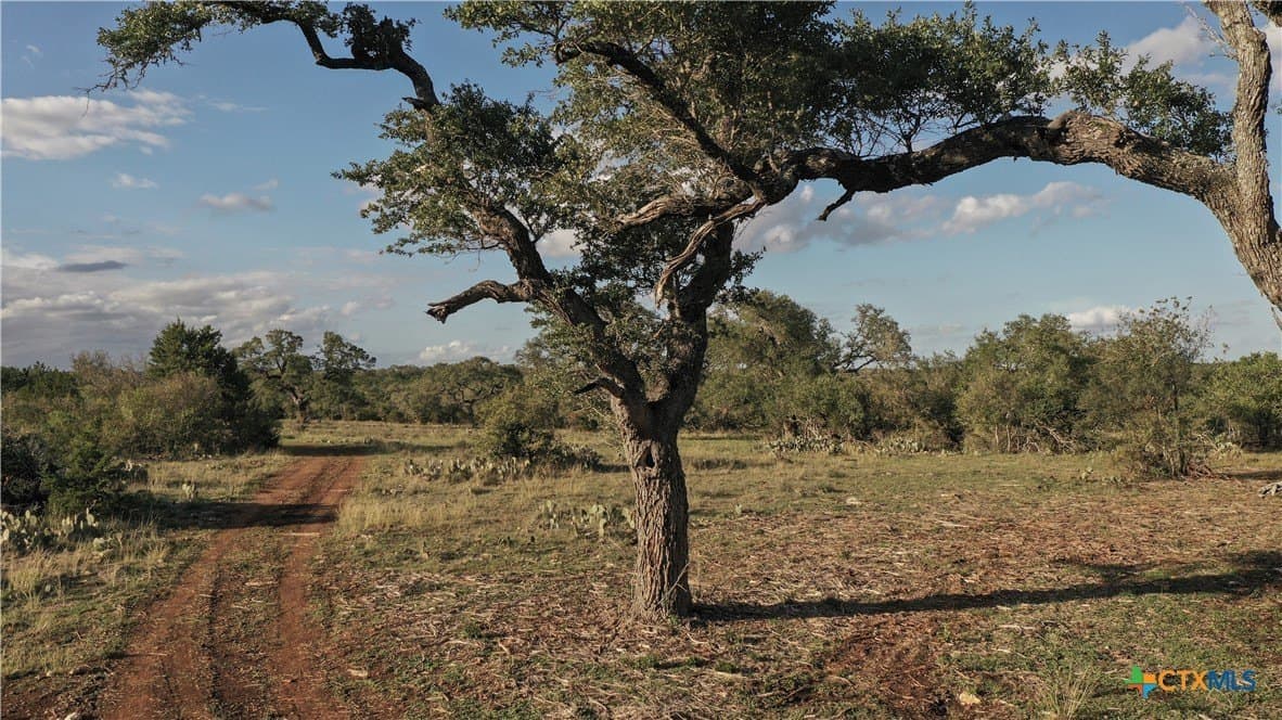 85.03 acres in Hays County - photo 25