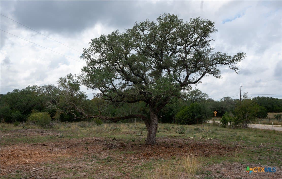 85.03 acres in Hays County - photo 22
