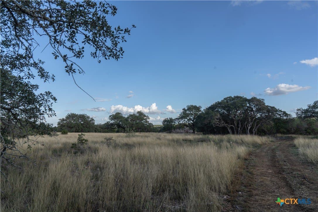 85.03 acres in Hays County - photo 31