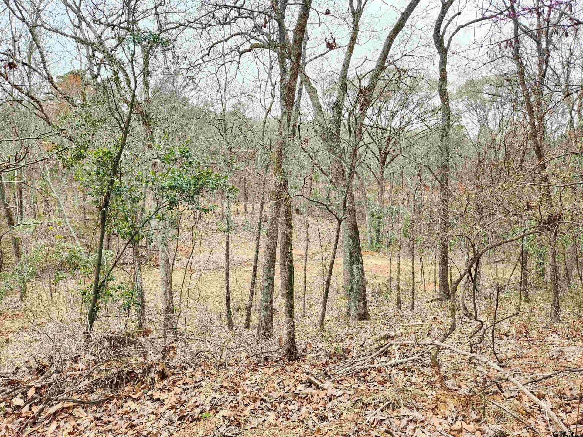 3.69 acres in Smith County - photo 3