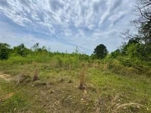 114.2 acres in Cass County - photo 9
