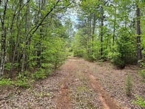 114.2 acres in Cass County - photo 2