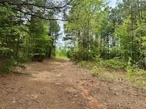 114.2 acres in Cass County - photo 3
