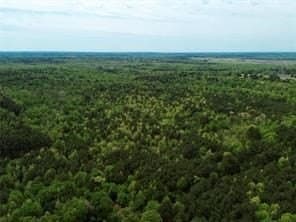 114.2 acres in Cass County - photo 27