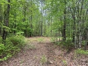 114.2 acres in Cass County - photo 7