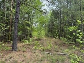 114.2 acres in Cass County - photo 21