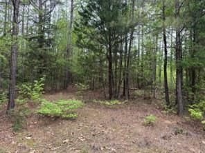 114.2 acres in Cass County - photo 19