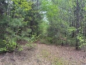 114.2 acres in Cass County - photo 22