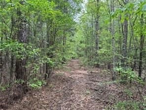 114.2 acres in Cass County - photo 20