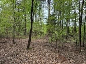 114.2 acres in Cass County - photo 24