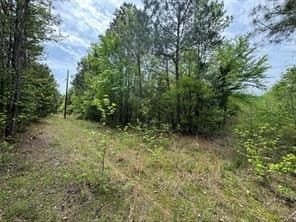 114.2 acres in Cass County - photo 15