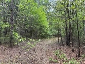 114.2 acres in Cass County - photo 17