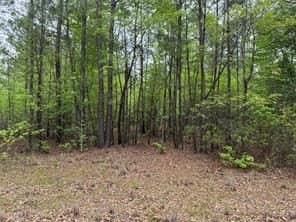 114.2 acres in Cass County - photo 26