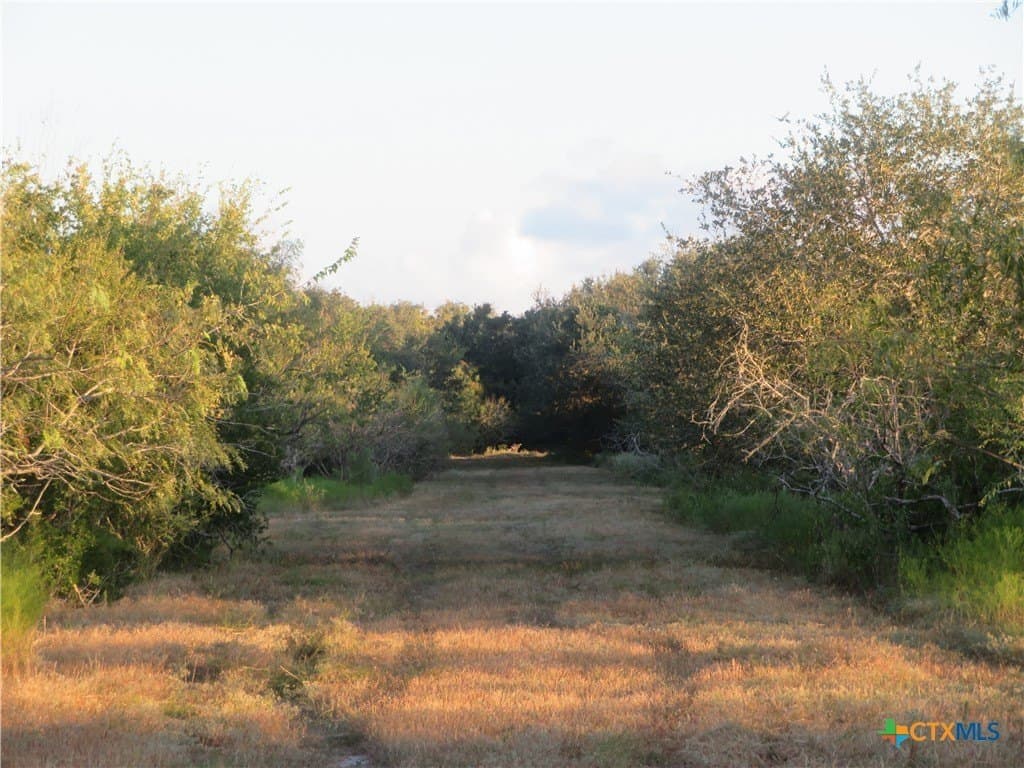 269.51 acres in Jackson County - photo 35