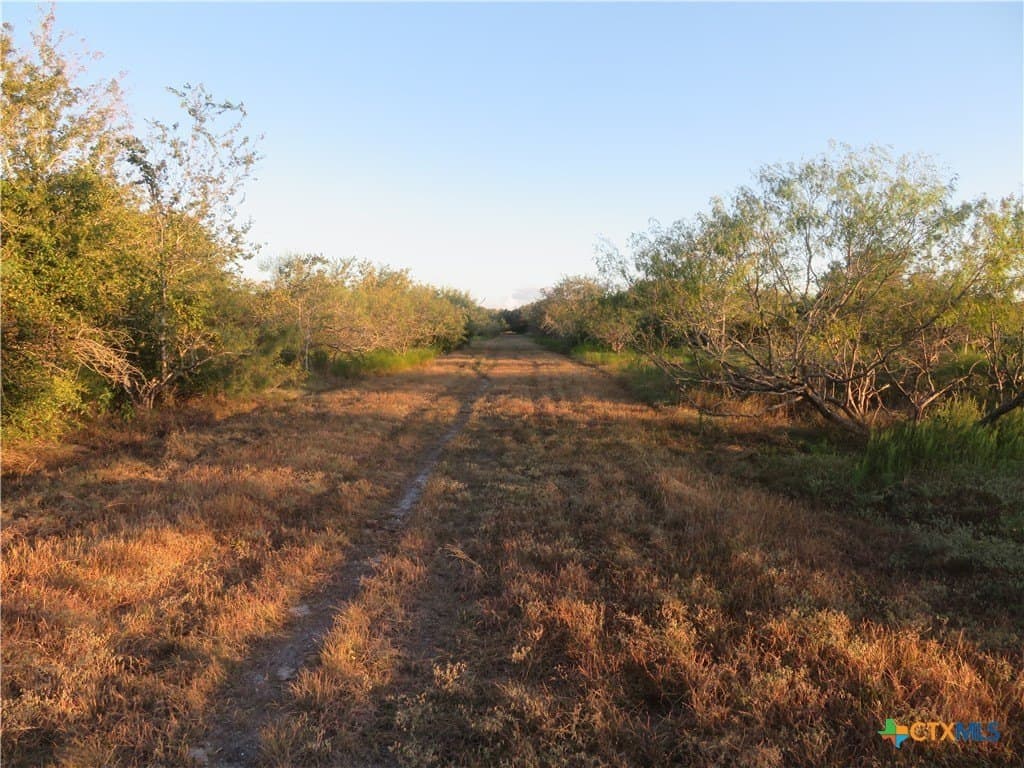 269.51 acres in Jackson County - photo 37