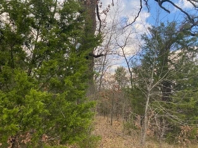 27.42 acres in Henderson County - photo 2