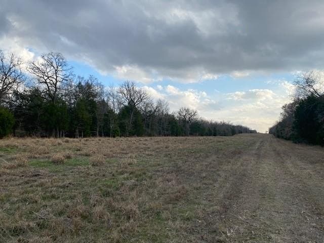 27.42 acres in Henderson County - photo 16