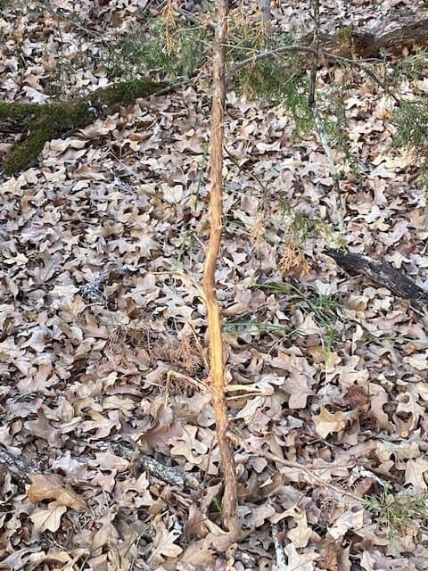 27.42 acres in Henderson County - photo 12